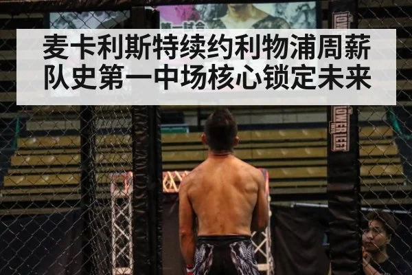 麦卡利斯特续约利物浦周薪队史第一中场核心锁定未来